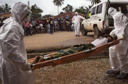 Ebola : résultats encourageants de deux vaccins expérimentaux