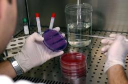 L'INSERM recueille vos bactéries intestinales