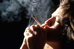 Cannabis : pertes de mémoire chez les gros fumeurs 