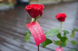 Saint Valentin : faut-il donner rendez-vous à l'amour ?