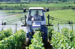 Pesticides: les effets réels sur la santé