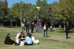 Les étudiants souffrent de stress
