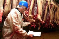 La sécurité alimentaire épinglée par la Cour des comptes