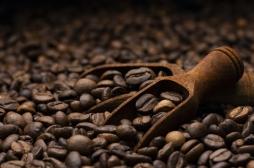 Bienfaits et dangers : vous saurez tout sur le café