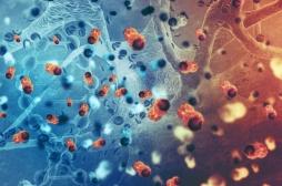 Les cellules CAR-T pourraient soigner les cancers du sang 