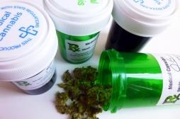 Les premiers essais cliniques sur le cannabis thérapeutique débuteront en 2021