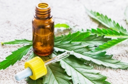 Cannabis thérapeutique : des patients créent un collectif pour en réclamer la légalisation