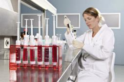 Cancers du sang : les thérapies cellulaires apportent une efficacité sans précédent
