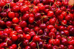 Pesticides : les producteurs de cerise seront indemnisés 