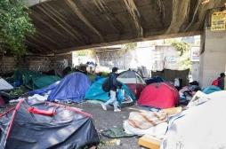 Gale : 150 migrants atteints dans un camp à Paris