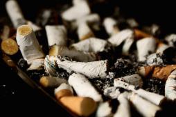 Tabac : le prix du paquet cigarettes reste stable