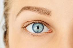 Régénérer le nerf optique pour soigner le glaucome 