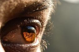 Des personnes aveugles retrouvent la vue grâce à une cornée artificielle 