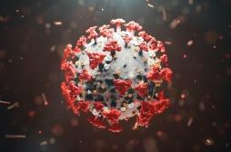 Covid-19 : la mutation du virus va-t-elle s’arrêter un jour ?