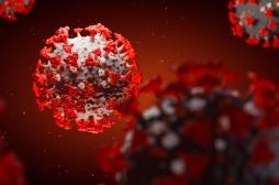 Un médicament pourrait bloquer le SARS-CoV-2 avant qu'il n'infecte les cellules