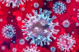 Covid-19 : le virus pourrait survivre plus longtemps chez les patients atteints d’une forme grave 