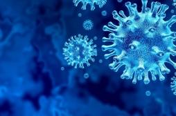 Comment les variants du coronavirus créent des 