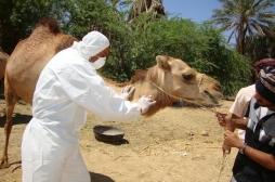 Arabie Saoudite : le coronavirus fait de nouvelles victimes