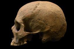 Le paludisme a déstabilisé l'Empire romain 