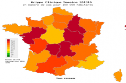 10 millions de Français ont consulté pour une grippe