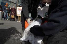 Guerres : des médecins américains accusés de torture