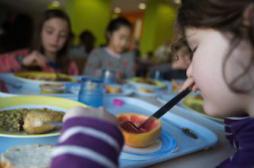 Alimentation : les cantines scolaires au tableau d'honneur