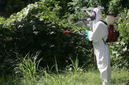 Le moustique tigre localisé dans un parc à Paris