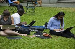 Internet module notre cerveau