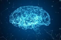Alzheimer : des chercheurs plaident pour une approche personnalisée du déclin cognitif