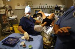 Don de gamètes : les experts partagés sur les nouvelles conditions