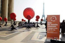 Don de moelle osseuse : la France a besoin d'hommes jeunes