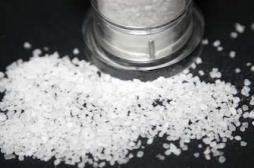 Le sel en excès néfaste pour les reins et le cerveau