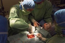 Don d'organes : 1 Français sur 2 s'est prononcé