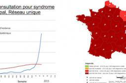 La grippe frappe toute la France 