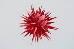 Sida : l'épidémie a atteint son pic