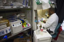 Ebola : quand les vieilles molécules ressortent du placard 