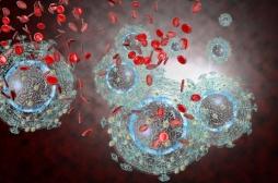 VIH : un candidat-médicament cible les réservoirs