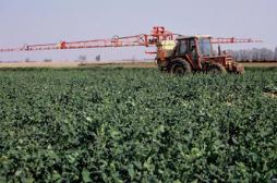  Pesticides: l'alerte des médecins du Limousin