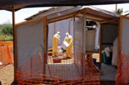 Ebola : un risque de propagation internationale pour l'OMS 