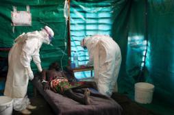 Ebola : sur la piste d’un traitement efficace