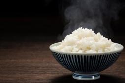 Vaccins contre le choléra : et si quelques grammes de riz pouvaient remplacer la piqûre  ? 