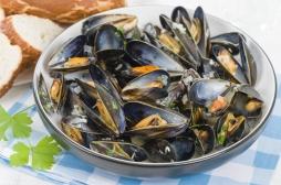 Grossesse : la consommation de fruits de mer favorise le développement cérébral des enfants