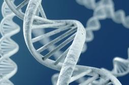 Alzheimer : prédire le risque personnel grâce à un score génétique