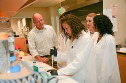 Thérapies géniques : des avancées majeures pour le cerveau