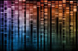 Douze centres pour décrypter le génome des malades