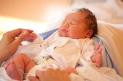 Greffe d'utérus : huit naissances dans le monde en trois ans