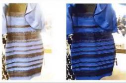 Cerveau : de nouveaux éléments sur le mystère de la robe bleue