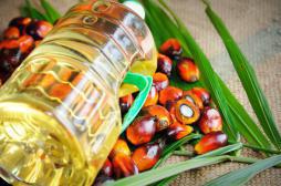 Les députés allègent la taxe sur l’huile de palme 