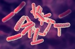 Une mutation génétique augmente le risque d’être atteint de la tuberculose 