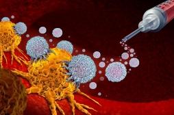 Cancer de la prostate : une bactérie procure un effet 